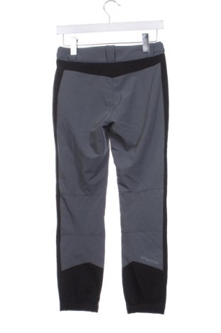 Kinder Sporthose Twentyfour, Größe 11-12y/ 152-158 cm, Farbe Grau, Preis € 18,29