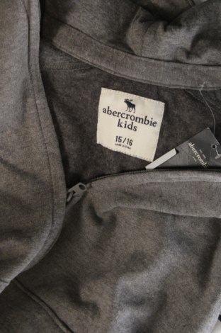 Dziecięca bluza Abercrombie Kids, Rozmiar 15-18y/ 170-176 cm, Kolor Szary, Cena 297,99 zł