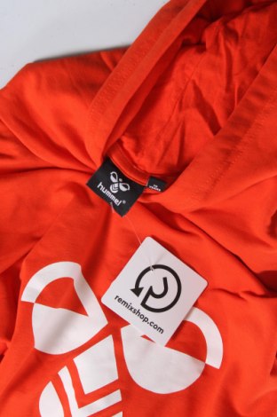 Kinder Sweatshirts Hummel, Größe 15-18y/ 170-176 cm, Farbe Orange, Preis € 7,79