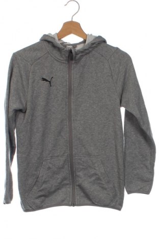 Kinder Sweatshirts PUMA, Größe 10-11y/ 146-152 cm, Farbe Grau, Preis 28,79 €