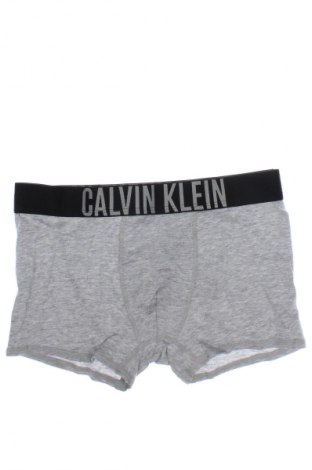 Детско бельо Calvin Klein, Размер 13-14y/ 164-168 см, Цвят Сив, Цена 14,79 лв.