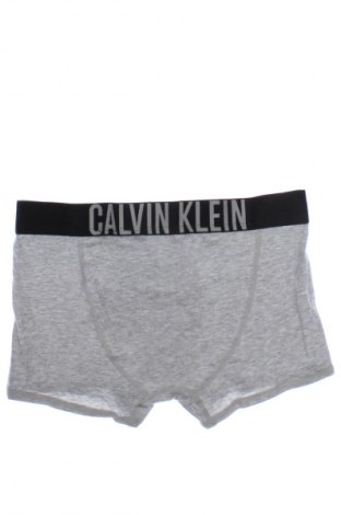 Детско бельо Calvin Klein, Размер 13-14y/ 164-168 см, Цвят Сив, Цена 24,29 лв.