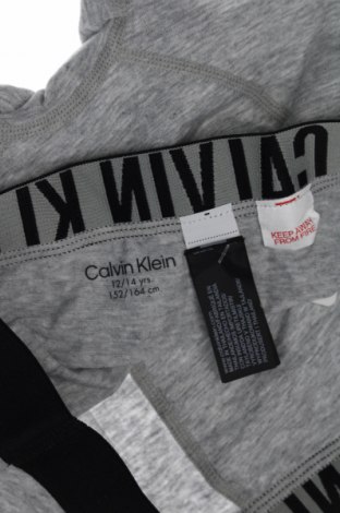 Детско бельо Calvin Klein, Размер 13-14y/ 164-168 см, Цвят Сив, Цена 24,29 лв.