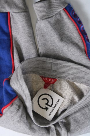 Παιδική κάτω φόρμα Guess, Μέγεθος 18-24m/ 86-98 εκ., Χρώμα Γκρί, Τιμή 40,99 €