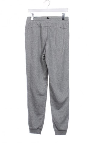 Detské tepláky PUMA, Veľkosť 15-18y/ 170-176 cm, Farba Sivá, Cena  23,25 €