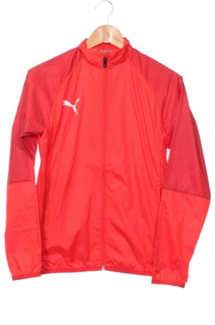 Kinderjacke PUMA, Größe 13-14y/ 164-168 cm, Farbe Rot, Preis € 27,79