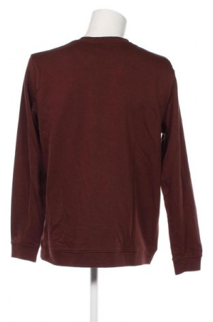 Herren Shirt Dressmann, Größe XL, Farbe Braun, Preis 17,99 €