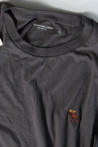 Ανδρικό t-shirt Abercrombie & Fitch, Μέγεθος L, Χρώμα Γκρί, Τιμή 26,29 €