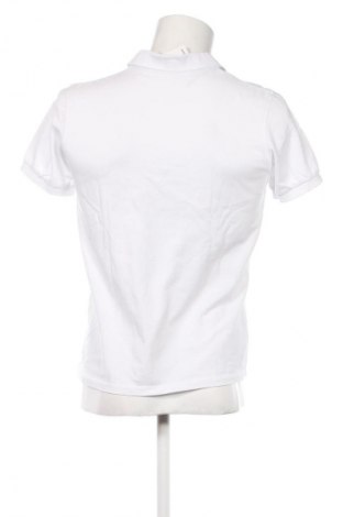 Herren T-Shirt Daniel Hills, Größe M, Farbe Weiß, Preis 21,99 €