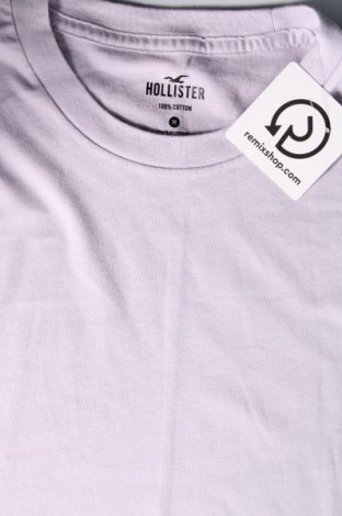 Ανδρικό t-shirt Hollister, Μέγεθος M, Χρώμα Βιολετί, Τιμή 8,49 €