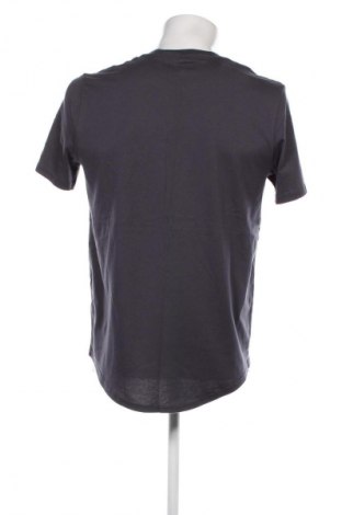 Herren T-Shirt Hollister, Größe M, Farbe Grau, Preis € 9,99