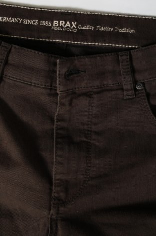 Herren Jeans Brax, Größe M, Farbe Braun, Preis € 18,99