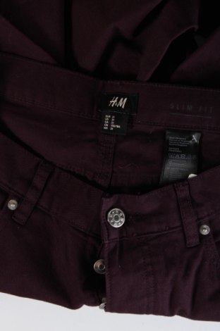 Herren Jeans H&M, Größe M, Farbe Lila, Preis 5,99 €