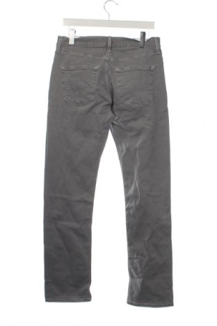 Herren Jeans Hollister, Größe S, Farbe Grau, Preis 8,99 €