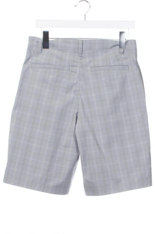 Herren Shorts Champion, Größe M, Farbe Grau, Preis 5,99 €