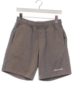 Herren Shorts Pegador, Größe XS, Farbe Grau, Preis € 7,99