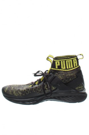 Herrenschuhe PUMA, Größe 43, Farbe Mehrfarbig, Preis 25,58 €