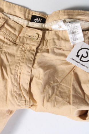 Herrenhose H&M, Größe L, Farbe Beige, Preis € 5,99