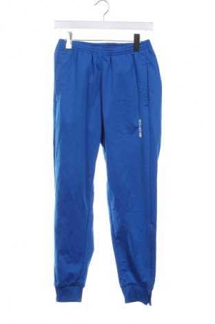 Herren Sporthose Erima, Größe S, Farbe Blau, Preis 11,29 €