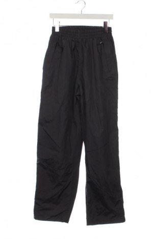 Pantaloni trening de bărbați North Field, Mărime S, Culoare Albastru, Preț 30,99 Lei