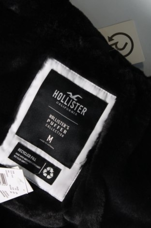 Ανδρικό μπουφάν Hollister, Μέγεθος M, Χρώμα Λευκό, Τιμή 108,99 €