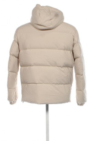 Pánska bunda  Tommy Jeans, Veľkosť S, Farba Béžová, Cena  151,75 €