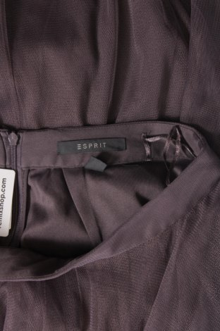 Φούστα Esprit, Μέγεθος XS, Χρώμα Βιολετί, Τιμή 14,49 €