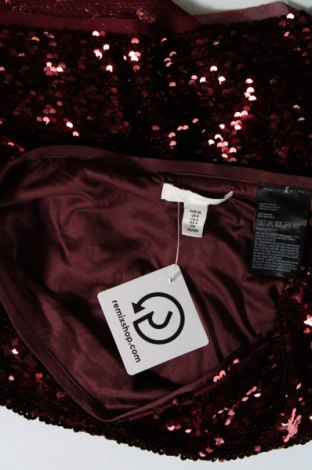 Rock H&M, Größe S, Farbe Rot, Preis € 5,49