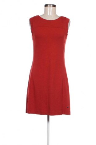 Kleid Cecil, Größe M, Farbe Rot, Preis 15,99 €