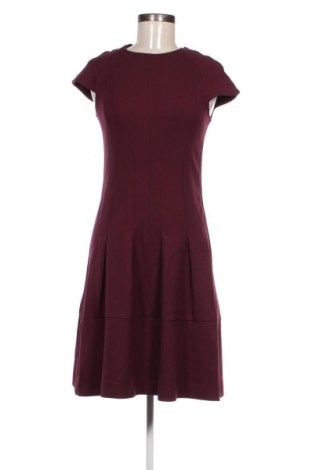 Kleid Class International, Größe S, Farbe Rot, Preis 9,49 €