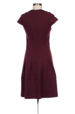 Kleid Class International, Größe S, Farbe Rot, Preis 9,49 €