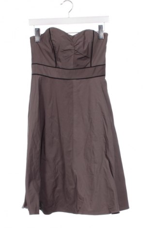 Kleid Coast, Größe S, Farbe Grau, Preis 29,79 €