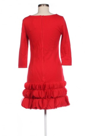 Kleid Coast, Größe S, Farbe Rot, Preis 57,29 €