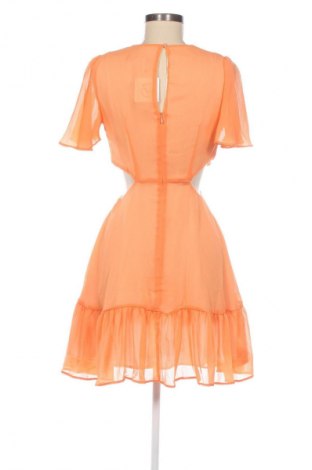 Kleid Dorothy Perkins, Größe M, Farbe Orange, Preis 9,99 €