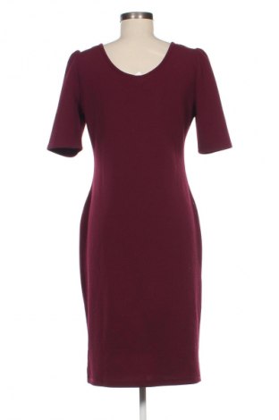 Kleid Dorothy Perkins, Größe L, Farbe Lila, Preis 18,99 €