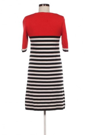 Kleid Dorothy Perkins, Größe M, Farbe Mehrfarbig, Preis € 6,49