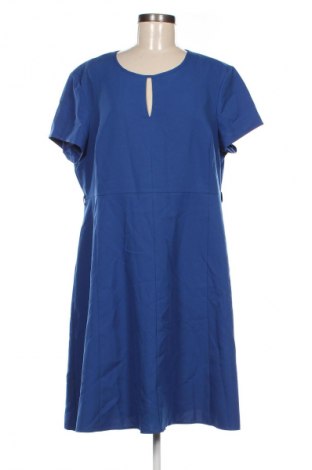 Kleid Dorothy Perkins, Größe XXL, Farbe Blau, Preis 8,79 €