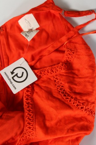 Kleid Joie, Größe S, Farbe Rot, Preis 50,99 €