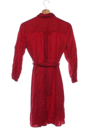 Kleid Mango, Größe XS, Farbe Rot, Preis 27,99 €