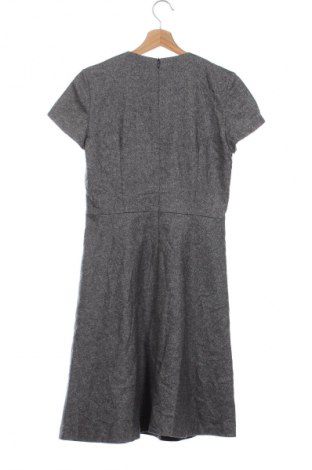 Kleid Massimo Dutti, Größe S, Farbe Grau, Preis 20,49 €