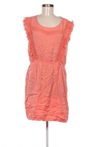 Kleid Mkt Studio, Größe L, Farbe Rosa, Preis € 29,99