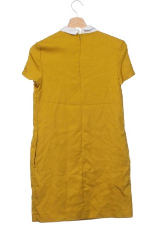 Kleid Mohito, Größe XS, Farbe Grün, Preis € 6,99