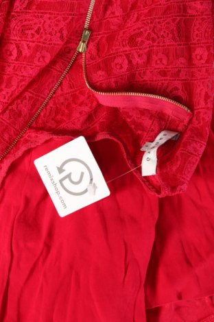 Kleid Sandro, Größe S, Farbe Rot, Preis 49,99 €