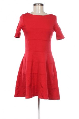 Kleid Zara, Größe L, Farbe Rot, Preis 18,99 €