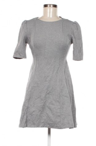 Kleid Zara Trafaluc, Größe M, Farbe Grau, Preis € 5,99