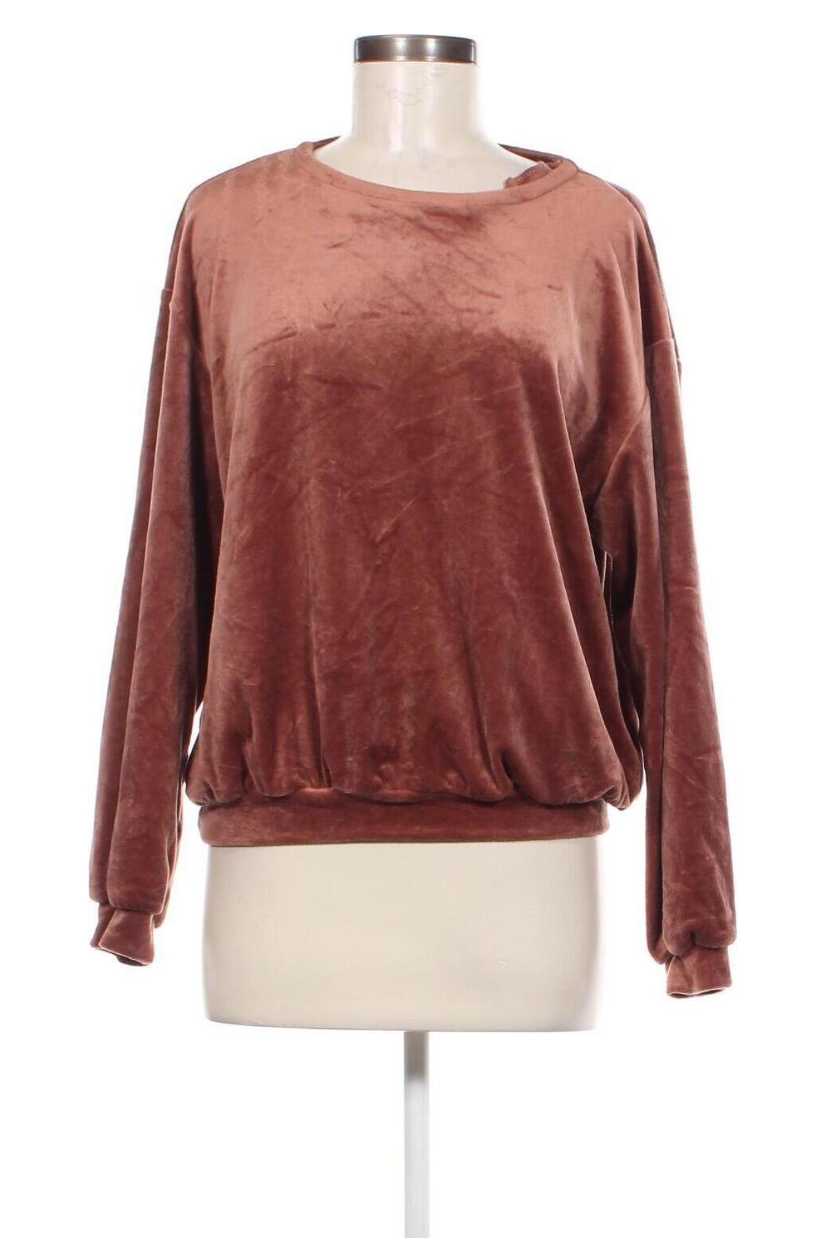 Damen Shirt, Größe XL, Farbe Braun, Preis € 4,49