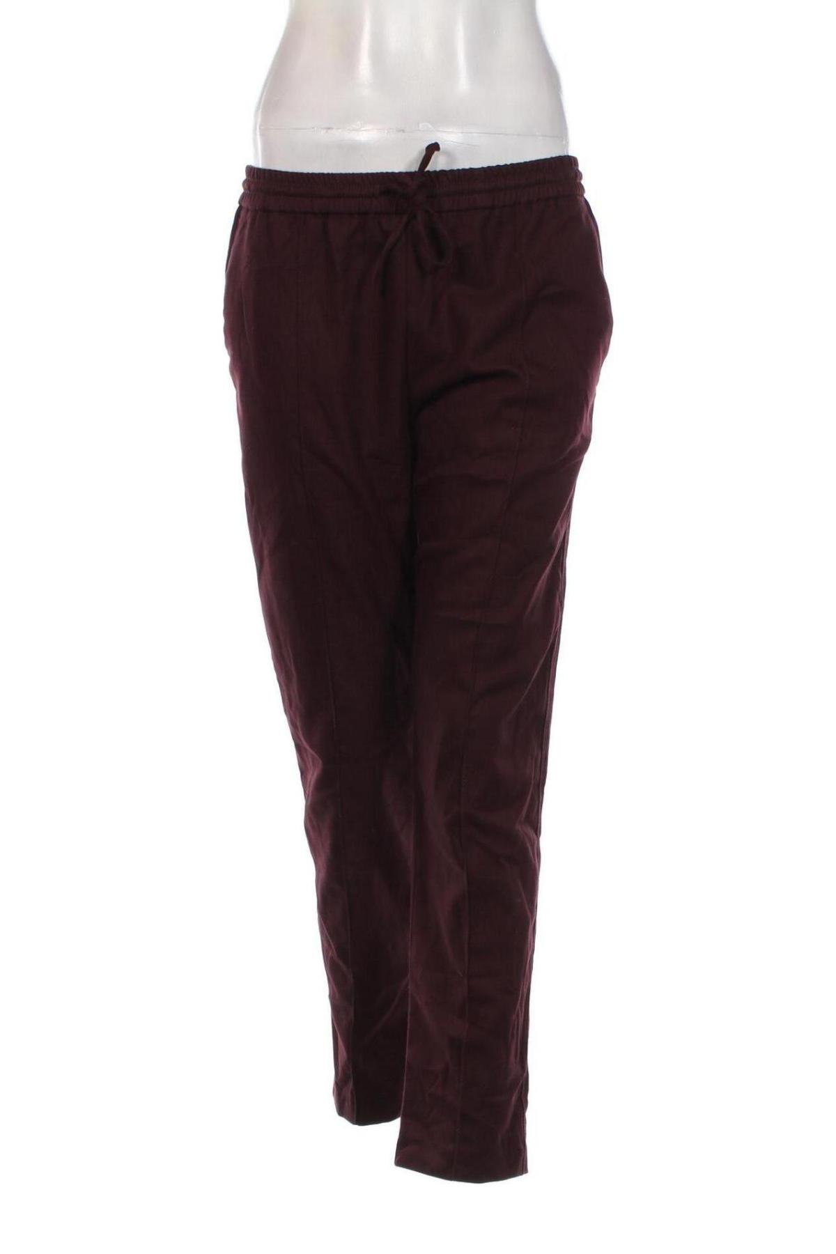 Damenhose Mango, Größe M, Farbe Lila, Preis 8,99 €