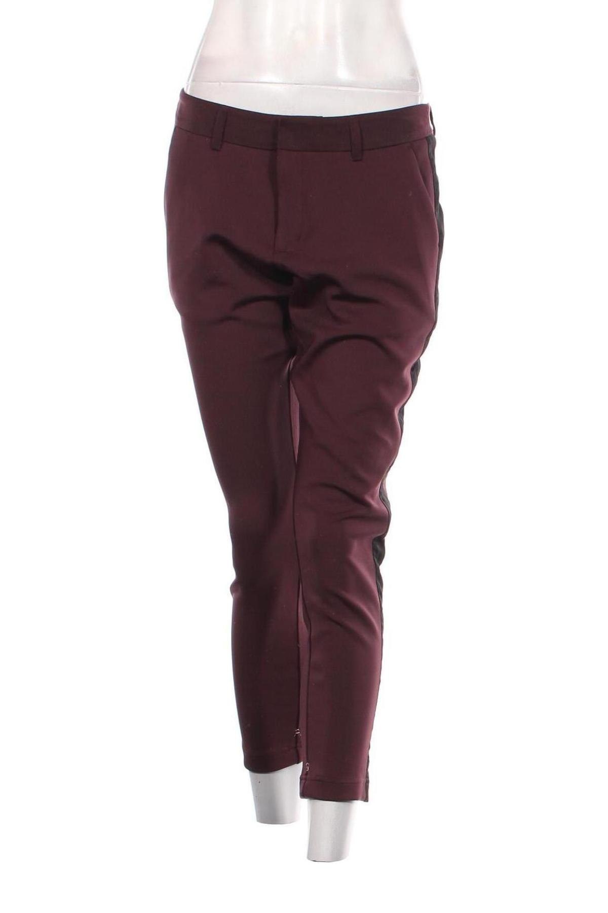 Damenhose Scotch & Soda, Größe S, Farbe Rot, Preis 10,49 €