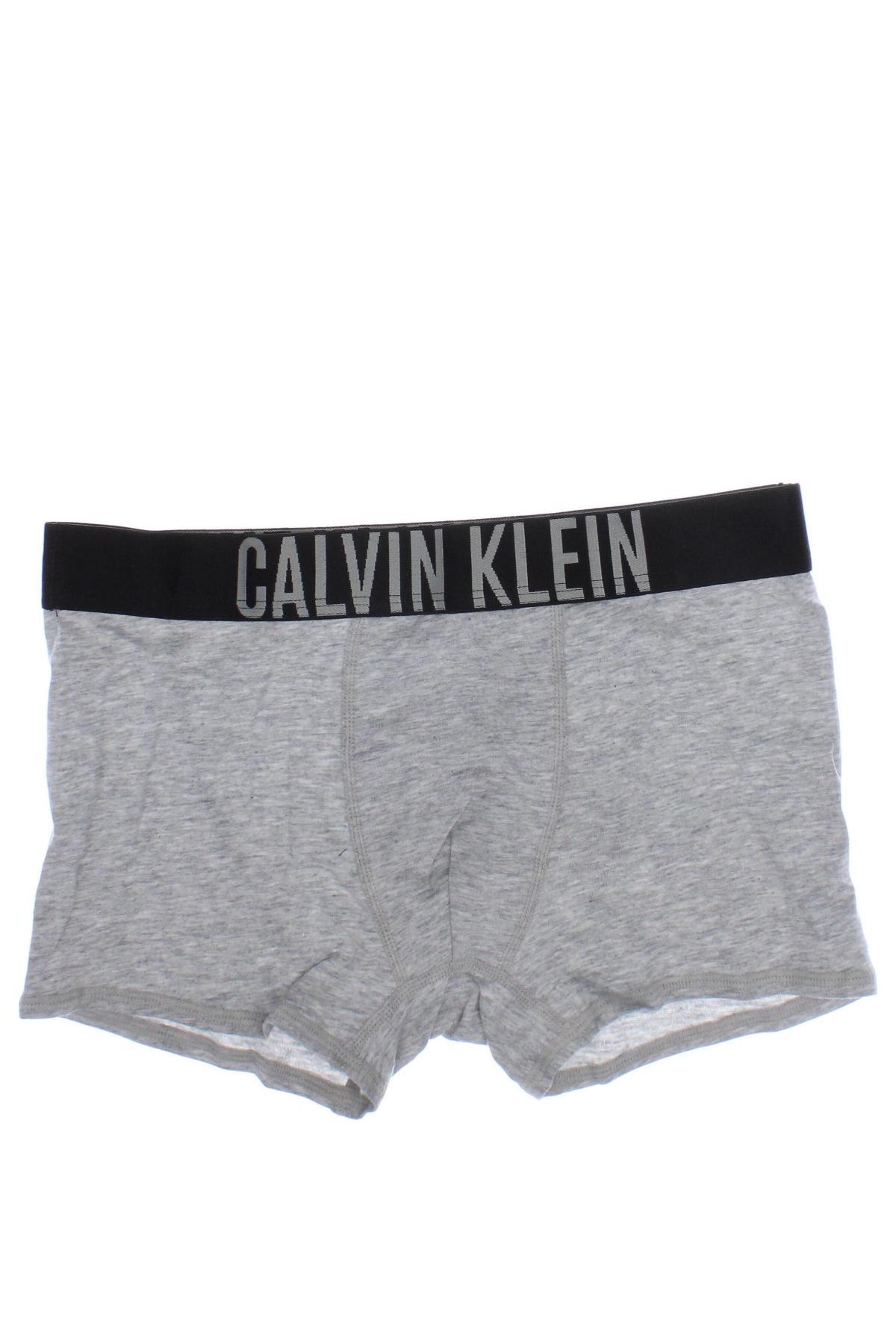 Детско бельо Calvin Klein, Размер 13-14y/ 164-168 см, Цвят Сив, Цена 24,29 лв.