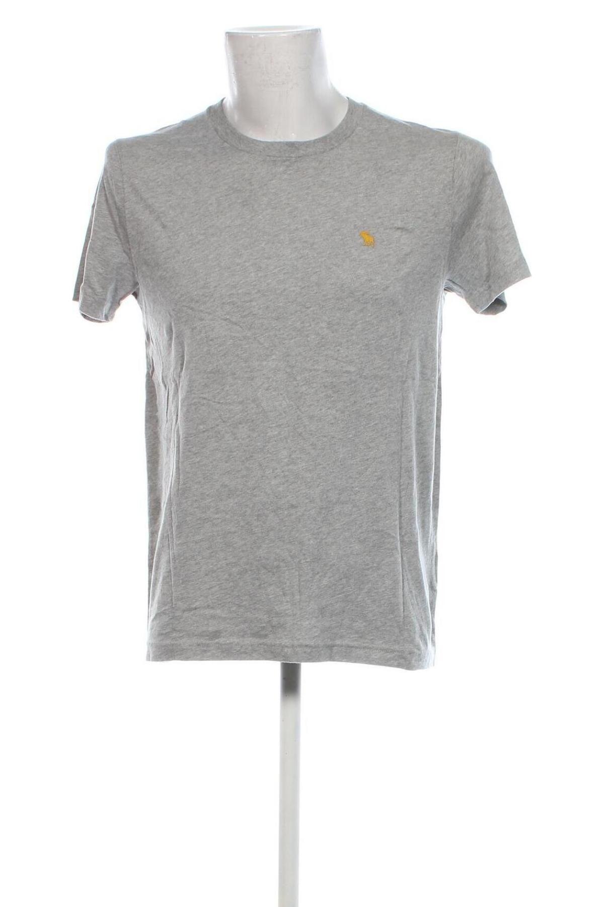 Herren T-Shirt Abercrombie & Fitch, Größe M, Farbe Grau, Preis € 24,99